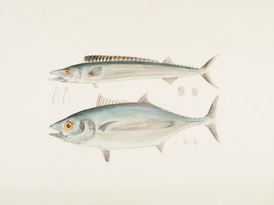 Boquerones en vinagre