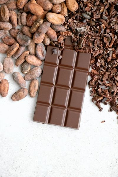 Cacao puro en polvo