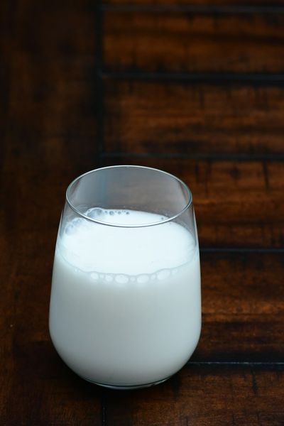 Leche de cabra u oveja